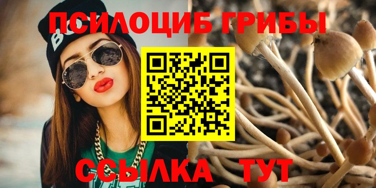 Псилоцибиновые грибы MAGIC MUSHROOMS Трёхгорный
